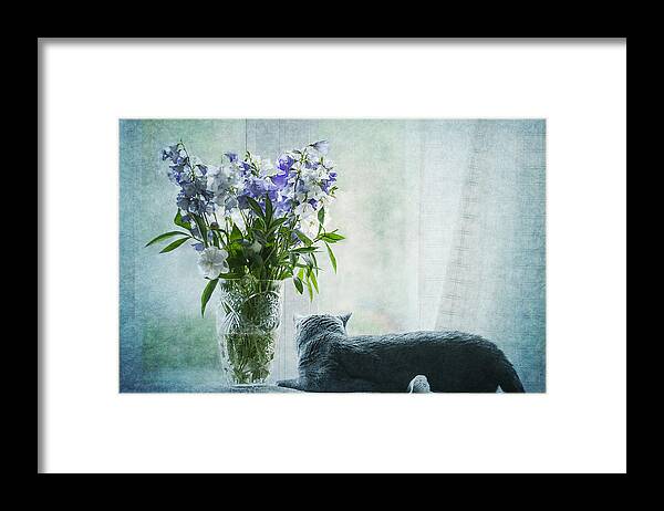 Cat Framed Print featuring the photograph The Cat and the Vase by Maggie Terlecki