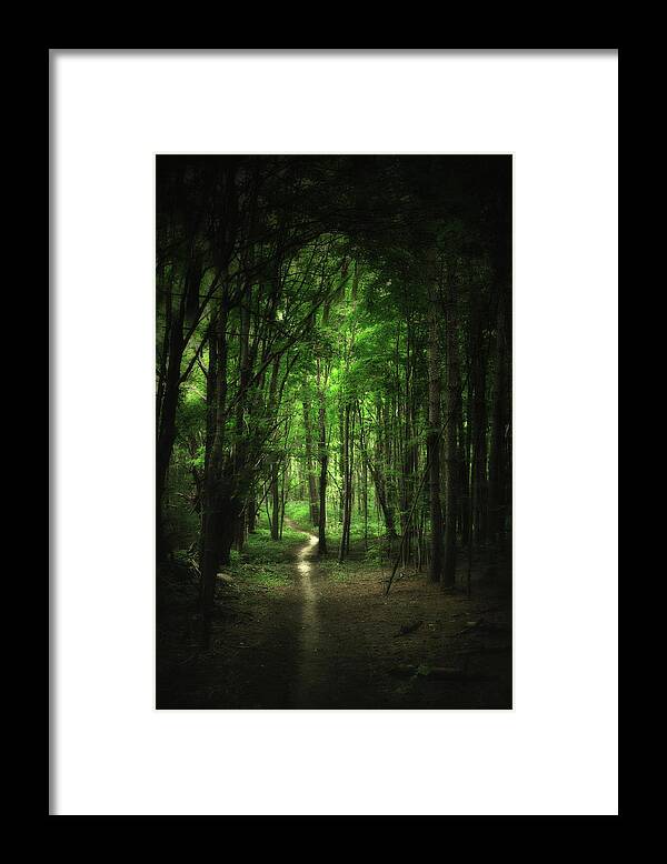 Forest Framed Print featuring the photograph The Cathedral Arch by Andrea Kollo
