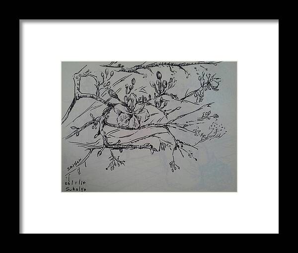 New Year Framed Print featuring the drawing The chinese new year flowers by Sukalya Chearanantana