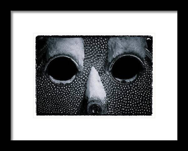Stare Framed Print featuring the photograph The Cold Stare by Thomas Lavoie