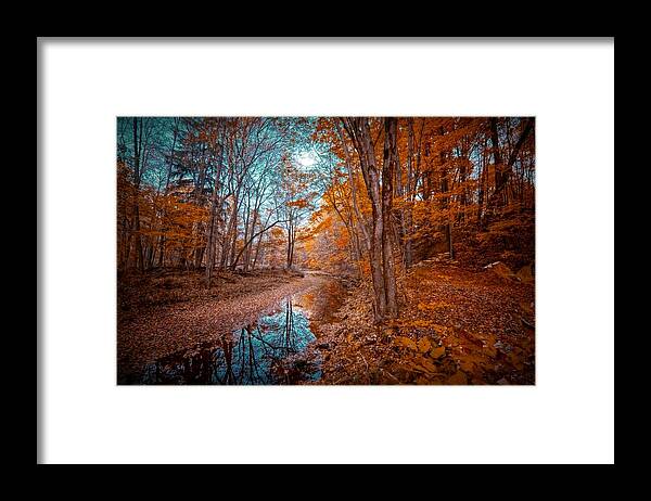  Landscapes Framed Print featuring the digital art The Color of Fall by Linda Unger
