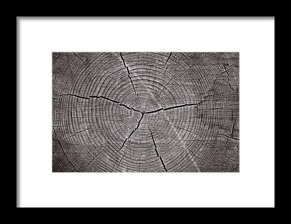 The Framed Print featuring the photograph The Core by Tinto Designs