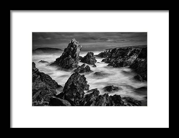 Petrel Framed Print featuring the photograph The Cove by Andrew Dickman