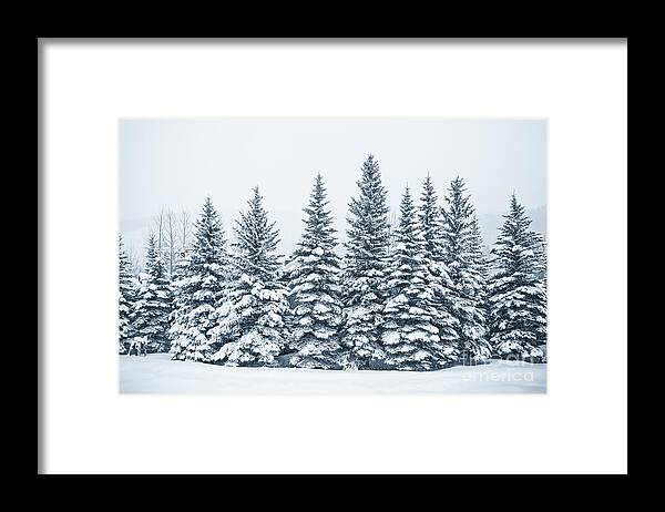 The Crown Of Winter Framed Print by Evelina Kremsdorf