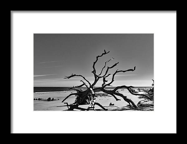 Nature Framed Print featuring the photograph The Dead in Black and White by DB Hayes