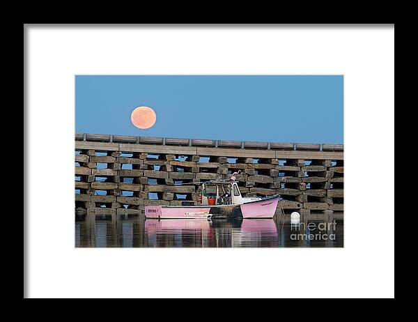 2018 Framed Print featuring the photograph The Dithy Doo by Craig Shaknis