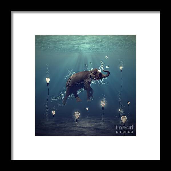 Elephant Framed Print featuring the photograph The dreamer by Martine Roch