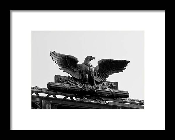 Eagle Framed Print featuring the photograph The Eagle by Edward Myers