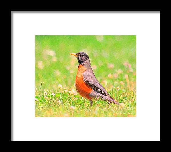 Robin Bird Framed Print featuring the digital art The Early Bird by Wingsdomain Art and Photography