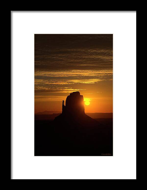 Desert Framed Print featuring the photograph The Earth Awakes by Lucinda Walter