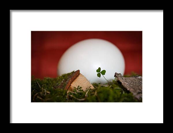 Easter Framed Print featuring the photograph the egg - Happy Easter by Andreas Levi
