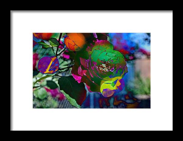 Colorful Framed Print featuring the photograph Couleur by Thom Zehrfeld