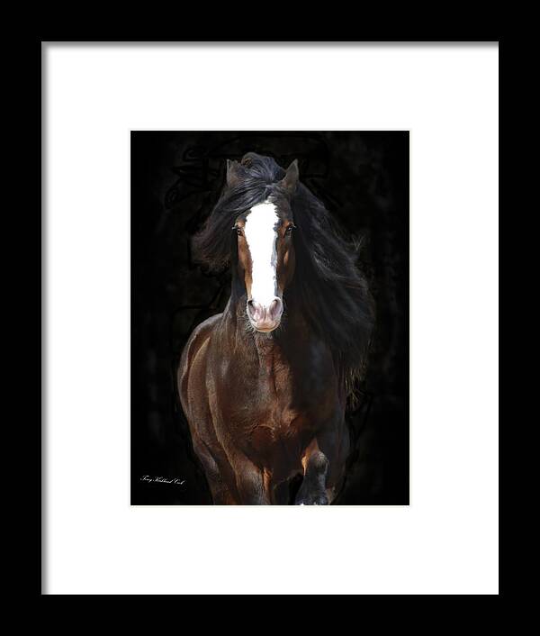 Equine Framed Print featuring the photograph The English Shire as Art by Terry Kirkland Cook