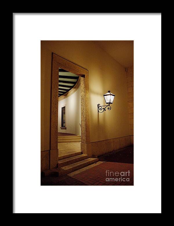 Photographs Framed Print featuring the photograph The Entrance by Felix Lai