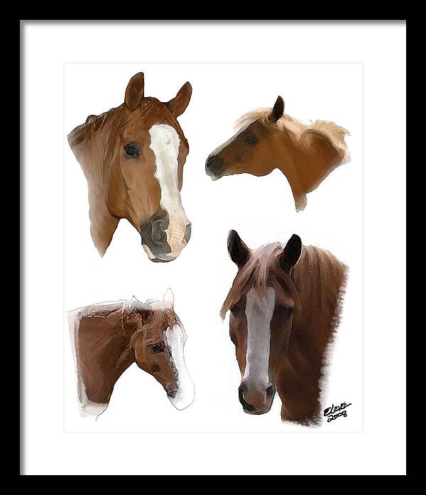 Arabian Horse Framed Print featuring the painting The Faces of T by Elzire S