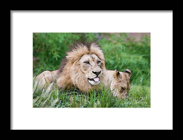 Cincinnati Zoo Framed Print featuring the photograph The Family by Ed Taylor