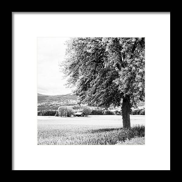 Farmhouse Framed Print featuring the photograph The Farm by Aleck Cartwright
