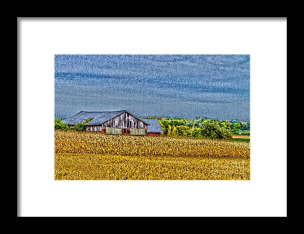 Farm Framed Print featuring the photograph The Farm by William Norton
