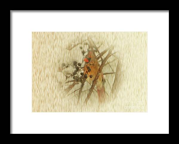 Bird Framed Print featuring the photograph The Female Cardinal by Lydia Holly