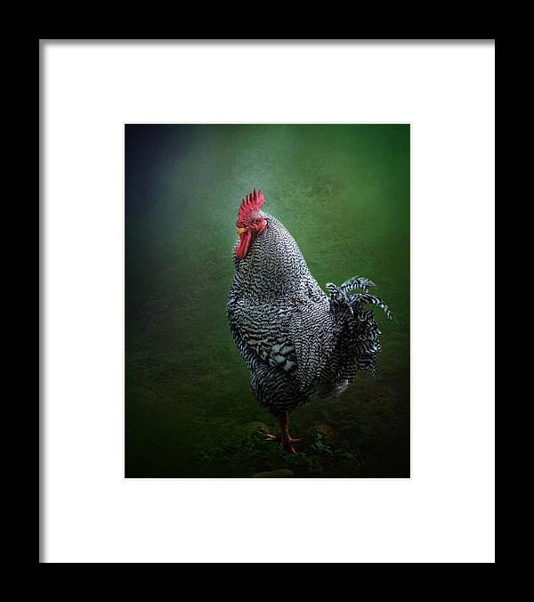Animals Framed Print featuring the photograph The First Alarm Clock by David and Carol Kelly
