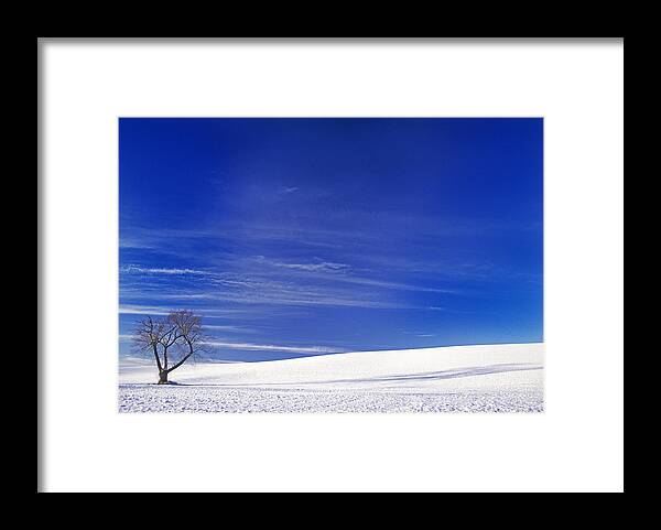 Outdoors Framed Print featuring the photograph The Flack Farm Tree by Doug Davidson