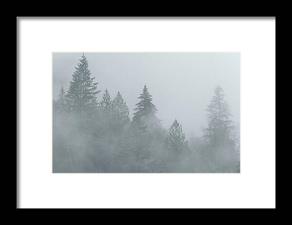 Landscape Framed Print featuring the photograph The Fog BW by Jonathan Nguyen
