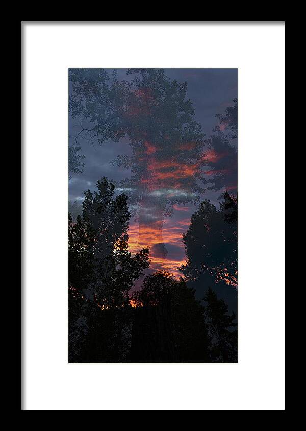 Forest Framed Print featuring the photograph The Forest Through the Trees by Ellery Russell
