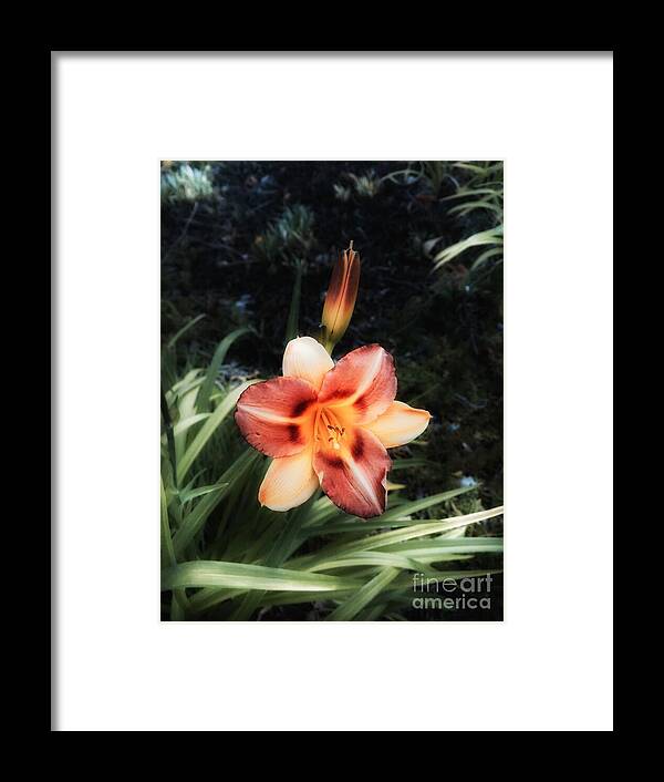 Flower Framed Print featuring the photograph The Garden at St. Stephen's- May 2016 by Jenny Revitz Soper