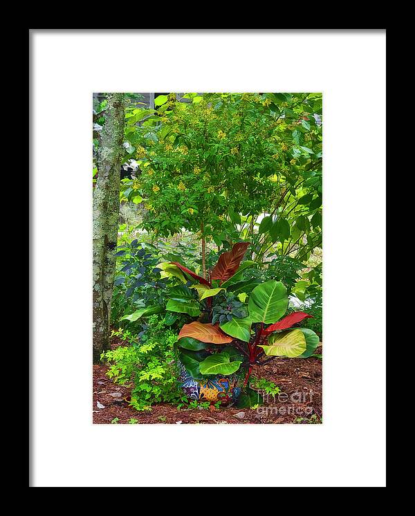 Garden Framed Print featuring the photograph The Garden by Kathy Baccari