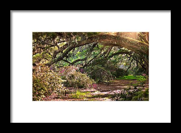 Healthy Framed Print featuring the photograph The Garden Path by Lisa Lambert-Shank