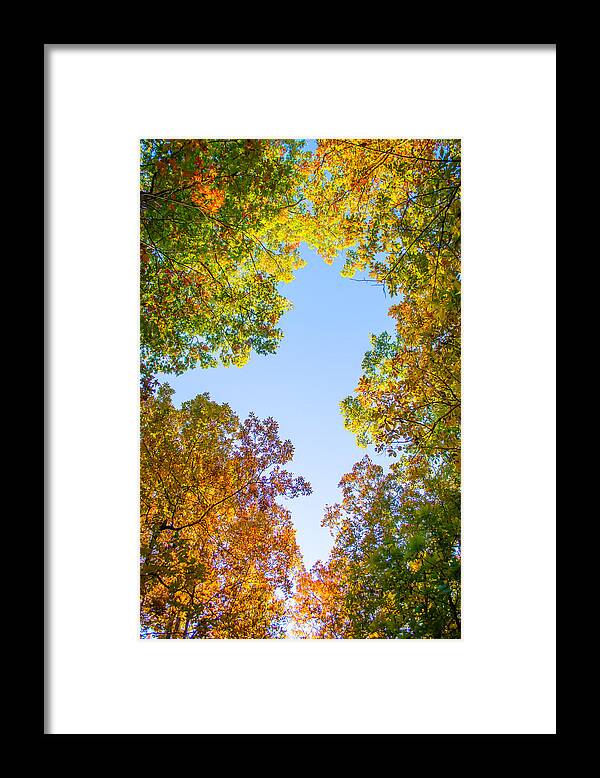 Fall Framed Print featuring the photograph The Glory of Autumn by Parker Cunningham