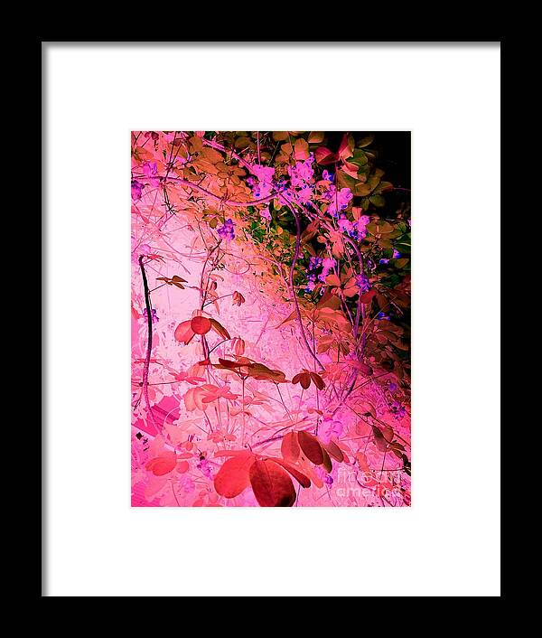 Photography Framed Print featuring the photograph The Glowing Vine by Nancy Kane Chapman