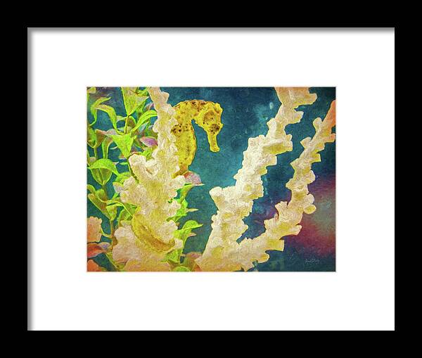 Golden Seahorse Framed Print featuring the photograph The Golden Seahorse Painted by Sandi OReilly