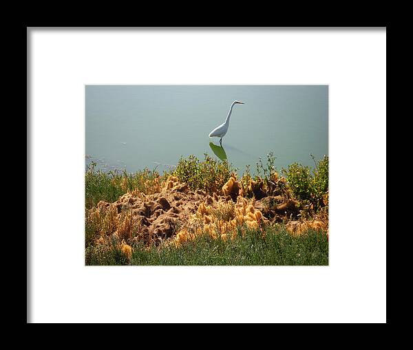 Bay Framed Print featuring the photograph The Golden Shores by Edward Wolverton