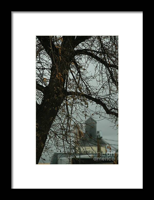 Tree Framed Print featuring the photograph The Granary by Linda Shafer