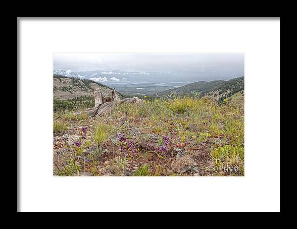 Cottonwood Pass Framed Print featuring the photograph The Gray Haven by Jim Garrison