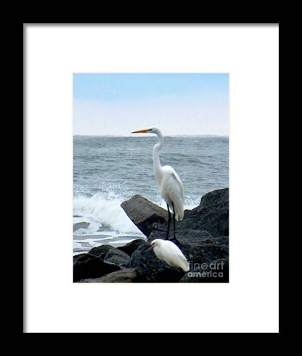 Great Egret Framed Print featuring the photograph The Great Egret and Snowy Egret Florida Shore Birds by Tim Townsend
