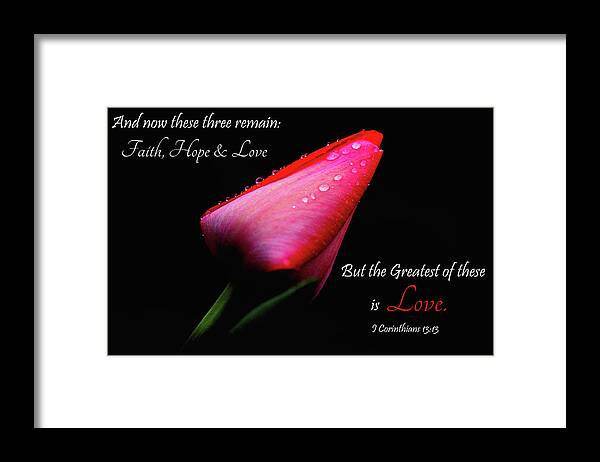 Floral Framed Print featuring the photograph The Greatest of These is Love by Trina Ansel
