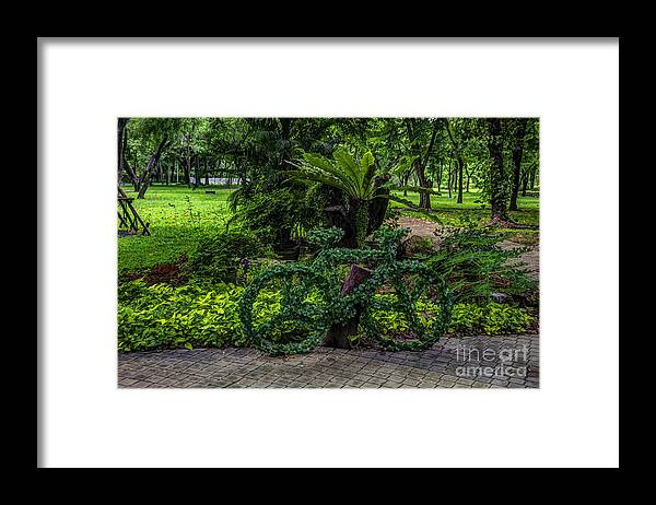Michelle Meenawong Framed Print featuring the photograph The Green Bicycle by Michelle Meenawong