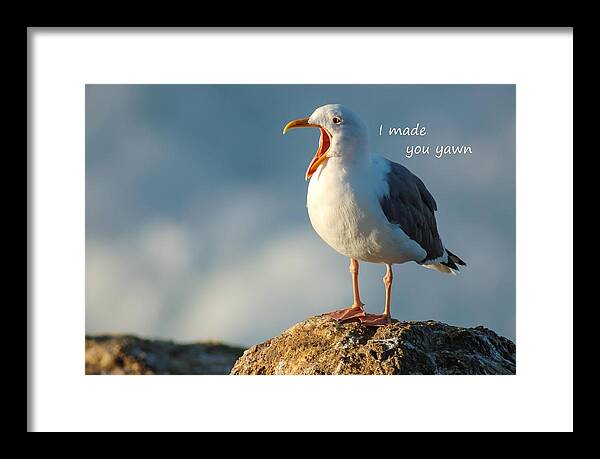 Yawn Framed Print featuring the photograph The Gull Said I made you Yawn by Sherry Clark