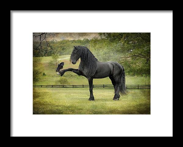 Friesian Horses Framed Print featuring the photograph The Harbinger by Fran J Scott