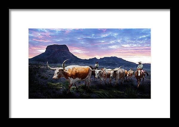 Texas Framed Print featuring the photograph Texas Longhorns Blue by Rospotte Photography