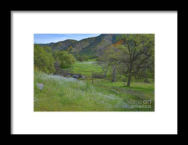 Hills Framed Print featuring the photograph The Hills Are Alive 2 by Debby Pueschel