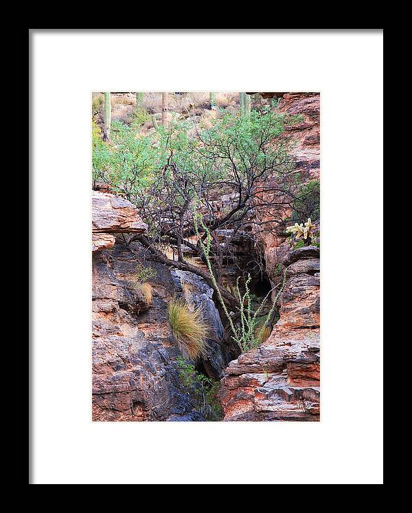 Fine Art Framed Print featuring the photograph The Hole - Mount Lemmon by Donna Greene