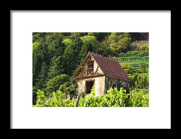 Old House Framed Print featuring the photograph The house in the vineyards by Paul MAURICE