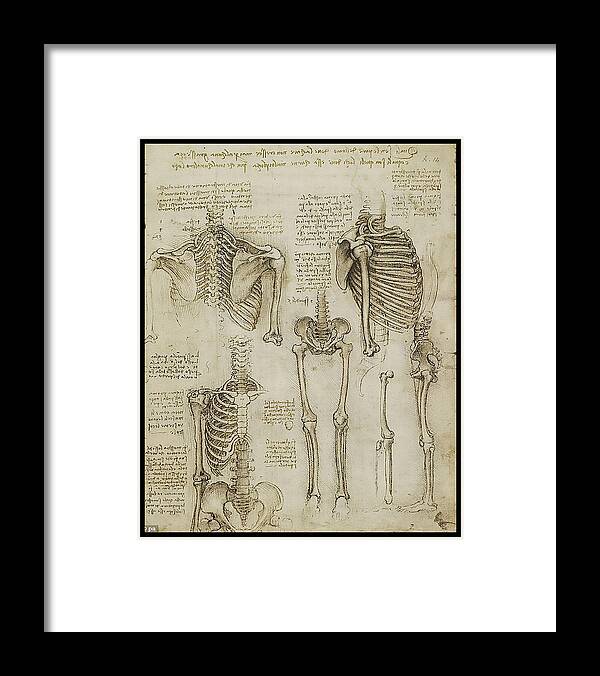 Copyright 2015  James Christopher Hill Framed Print featuring the painting The Human Ribcage by James Hill