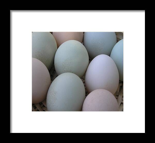 Nature Framed Print featuring the photograph The Incredible Eggs by Janis Beauchamp
