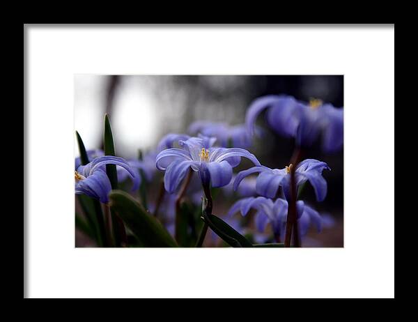 Spring Framed Print featuring the photograph The Joy of Springtime by Laura Kinker