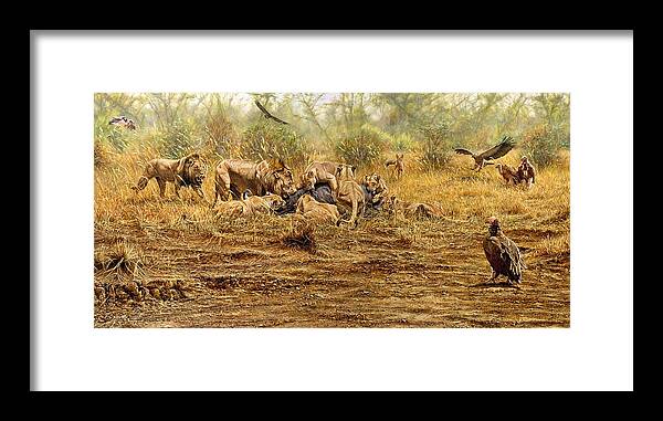 Lion Framed Print featuring the painting The Kill by Alan M Hunt