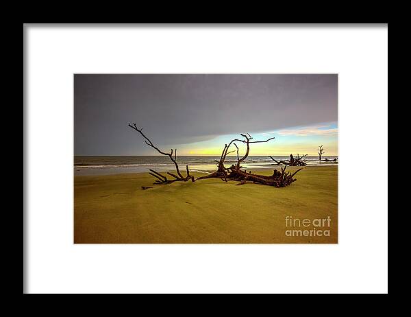 The Land I Rest Upon I Call Home. Hunting Island Framed Print featuring the photograph The Land I Rest Upon I Call Home by Felix Lai
